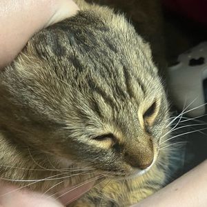 Meet your Posher, Katja